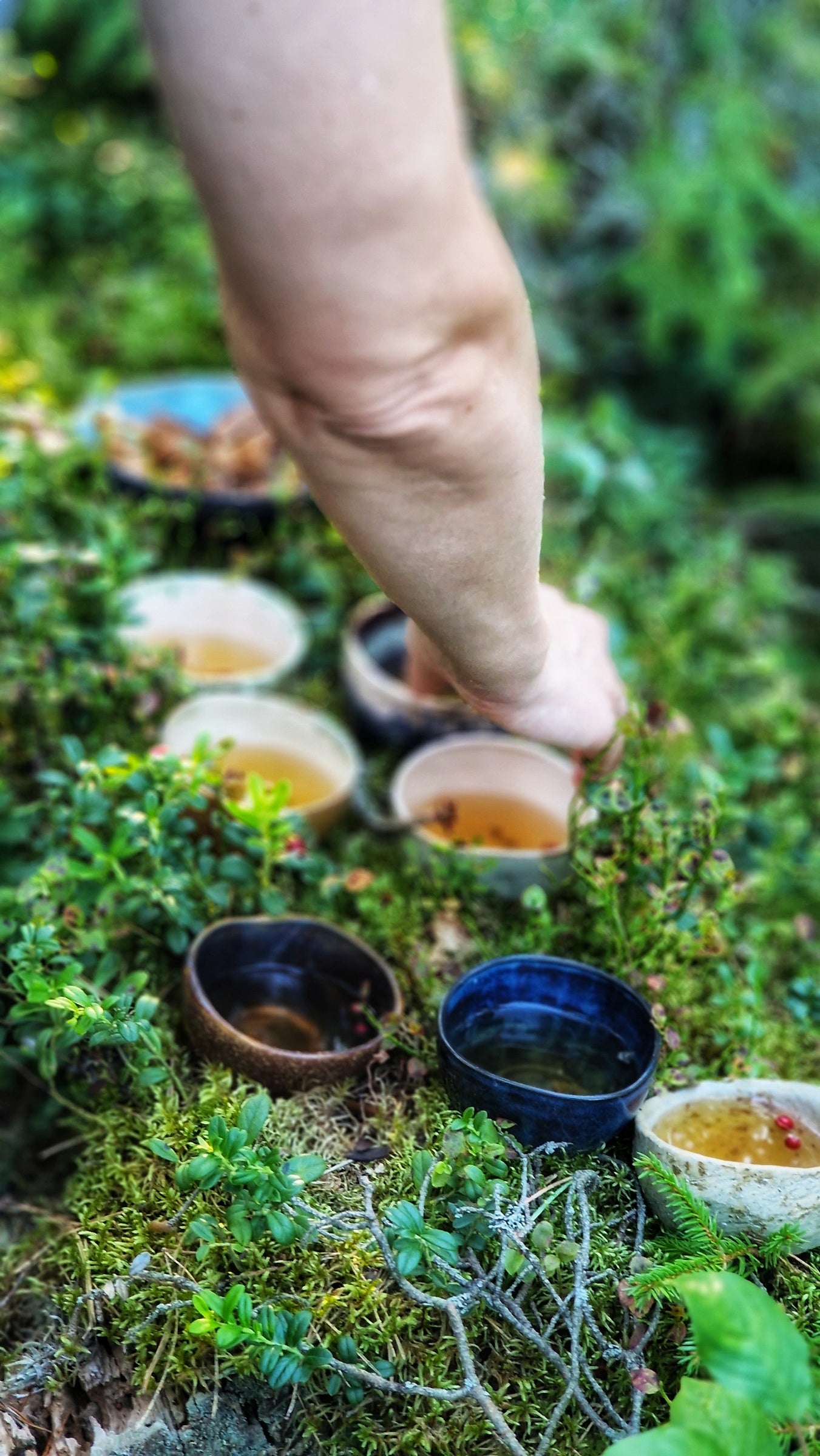 Miško maudynės DOVANŲ KUPONAS