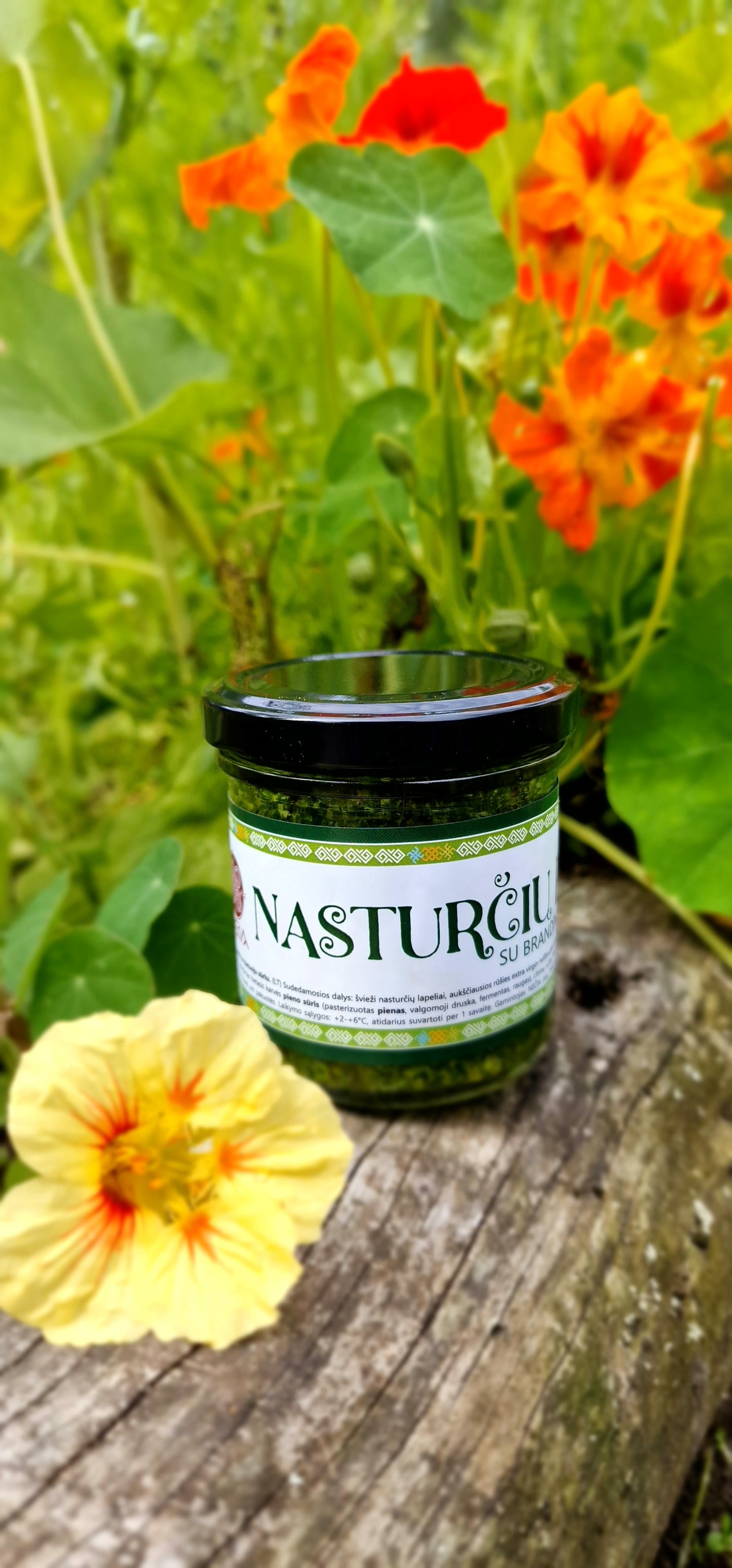 Nasturtium Pesto