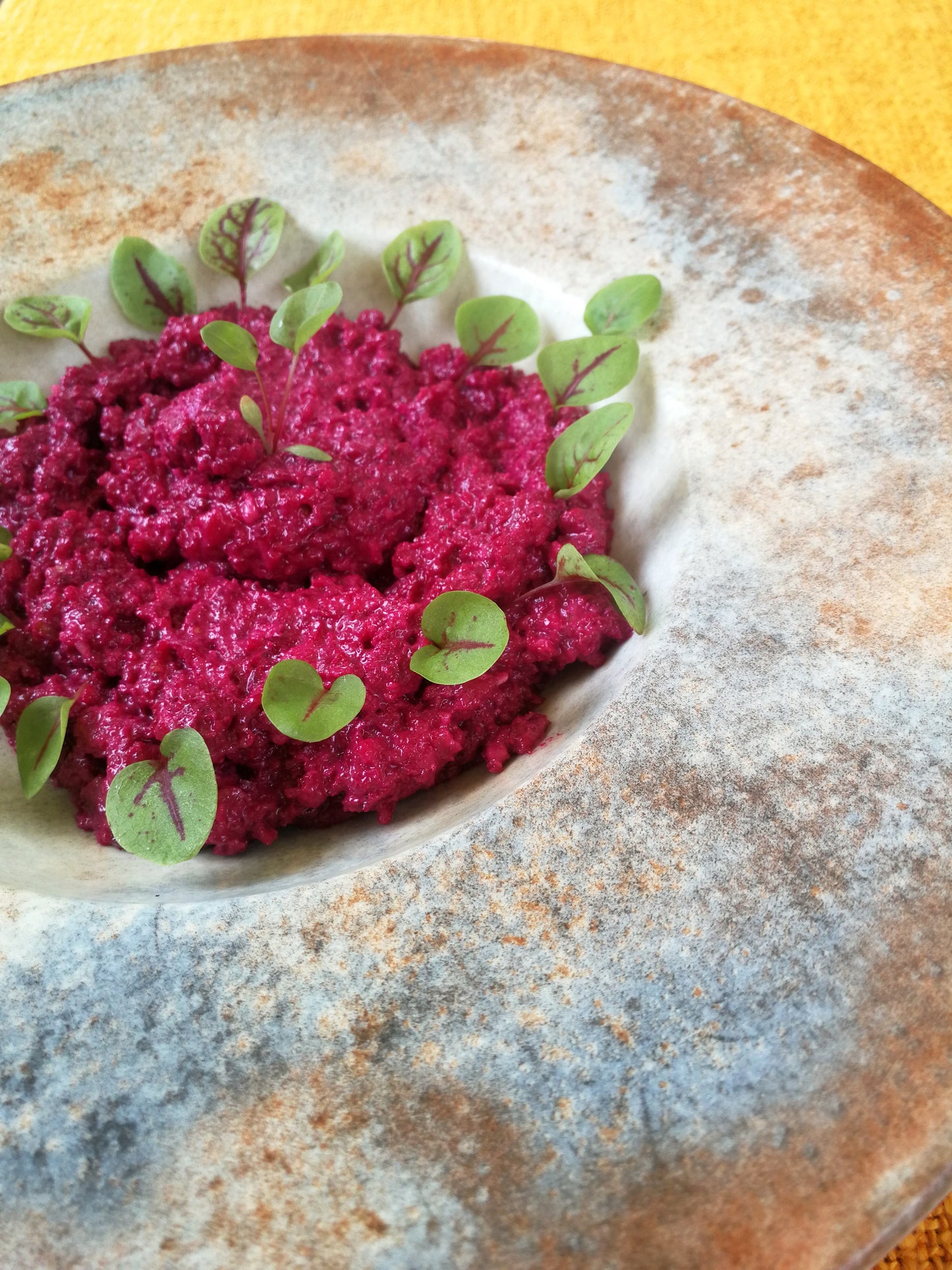 BESTO - beetroot pesto with hard cheese