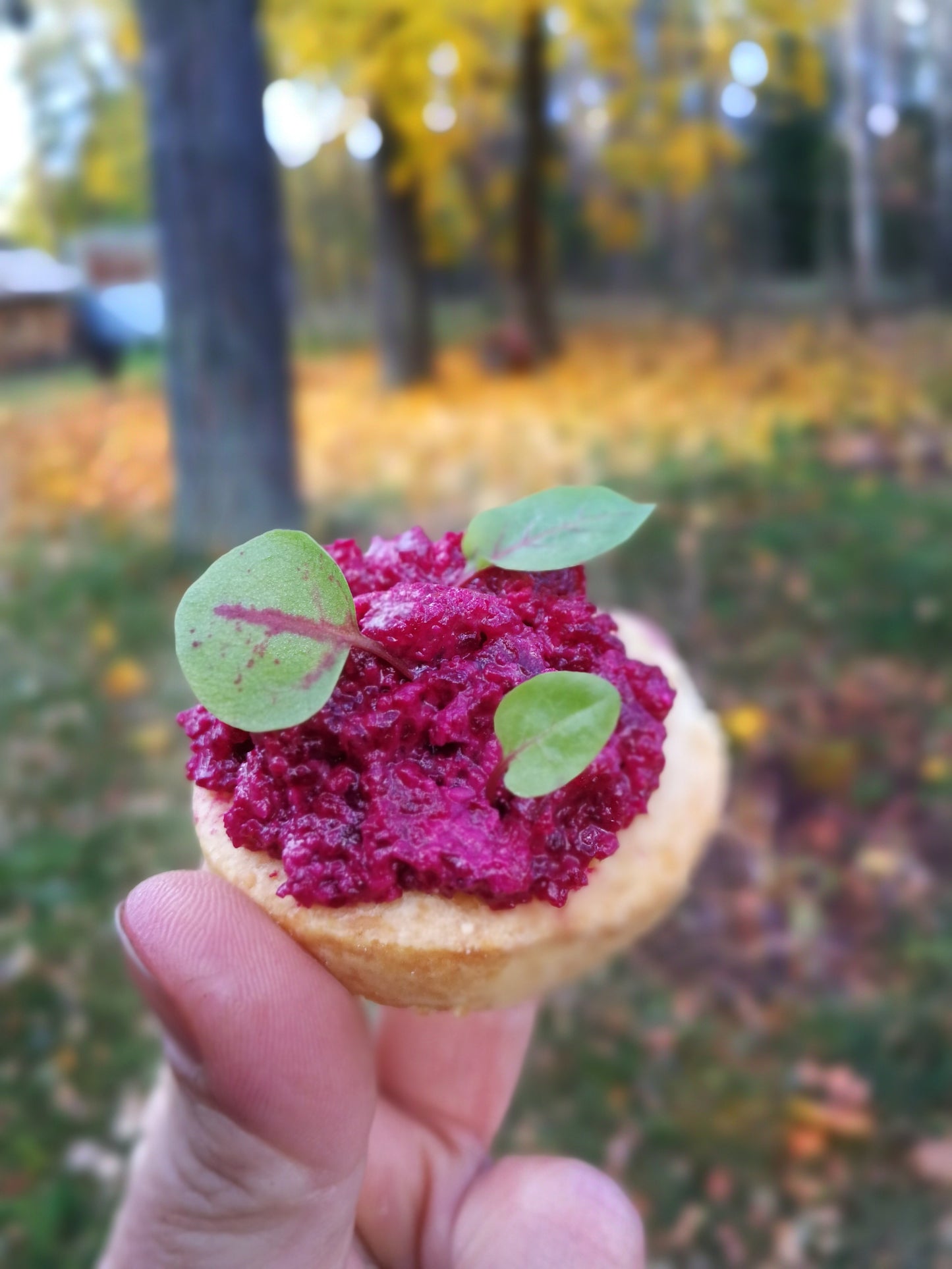 BESTO - beetroot pesto with hard cheese