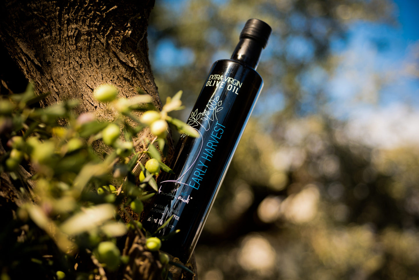 Šviežias ankstyvo derliaus, aitrus, ypač tyras, ARMAKADI alyvuogių aliejus, 2025.10/11mėn. derlius