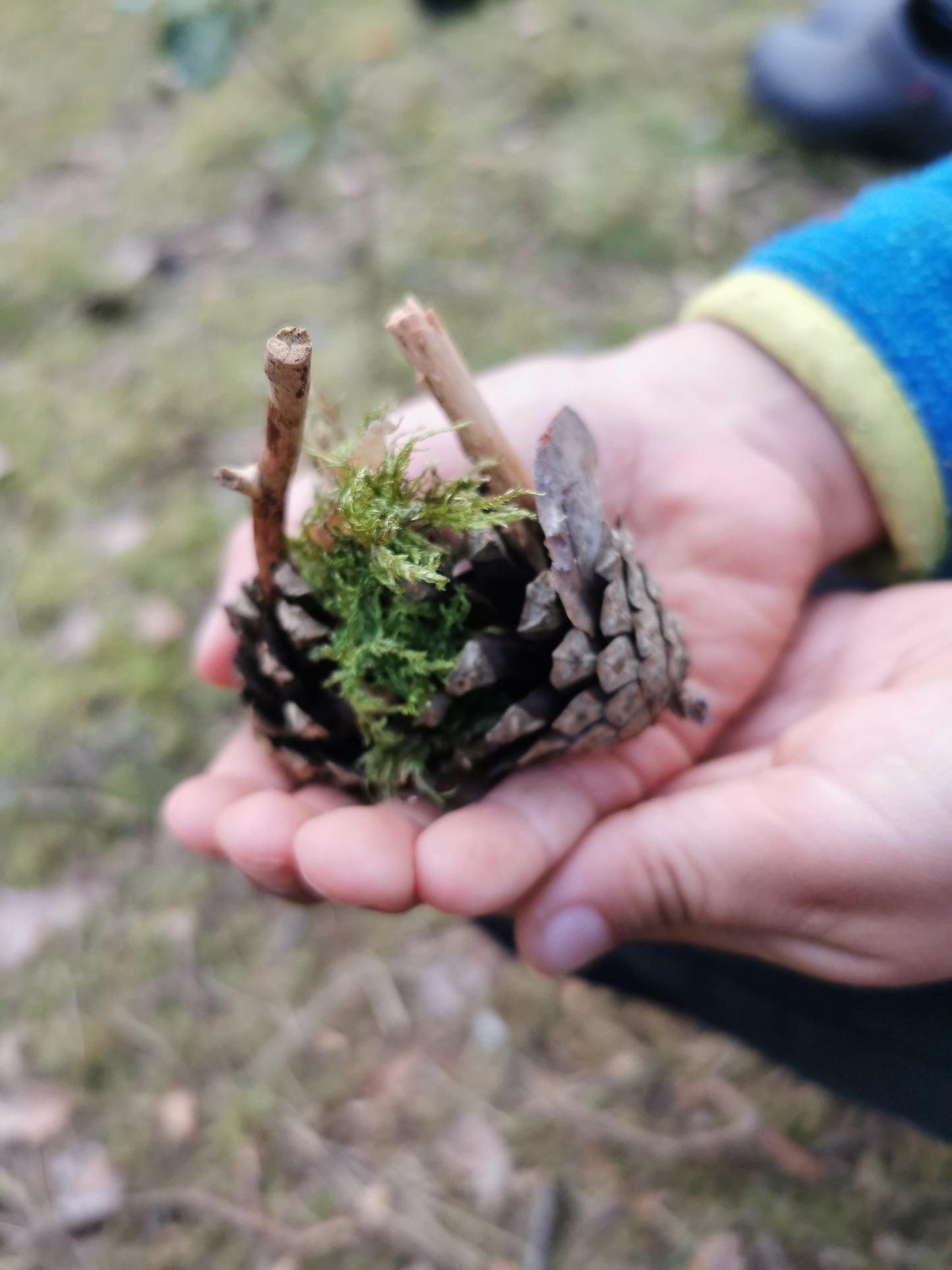 Žemės menas: kūrybinė-meninė edukacija