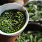 Nettle and Milk Pesto with hemp seeds