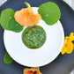 Nasturtium Pesto