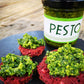 Vegan Basil Pesto 